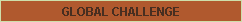 Global Challenge